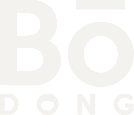 Genèse du logo Bo-DONG, étape 4 : la marque complète